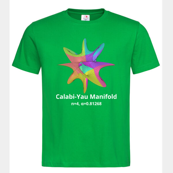 Calabi-Yau Manifold Thumbnail